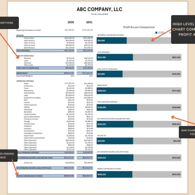 Profit and loss comparison with notes: descriptions can be edited, bar charts update as you type, and the ending cash balance is calculated.