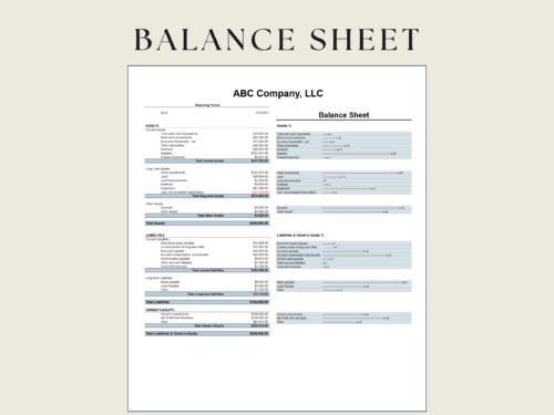Balance sheet for one date: assets, liabilities and owner's equity, with charts showing each line as a percent of the total.