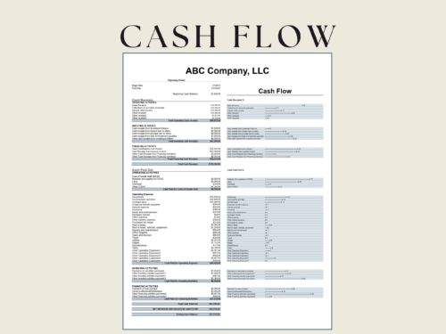 Cash flow for one reporting period: cash receipts and cash paid out for operating, investing and financing activities, the net change and ending cash balance, with charts showing each line as a percent.
