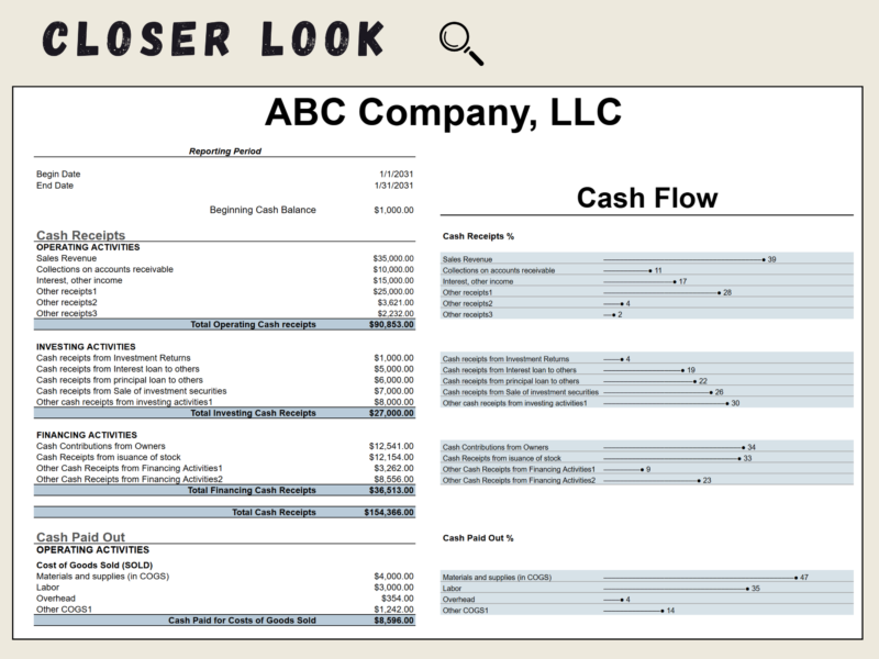 Close-up of the cash flow statement for one period: cash receipts by activity with each line shown as a percent, and the start of cash paid out.