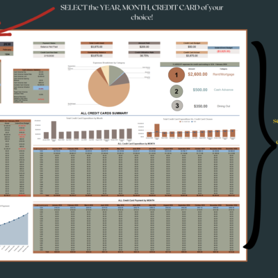 263 Credit card dashboard: select the year, month and credit card; the dashboard fills in from that choice.