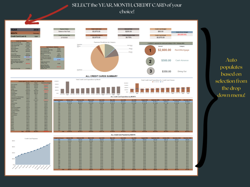 263 Credit card dashboard: select the year, month and credit card; the dashboard fills in from that choice.