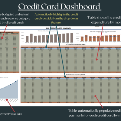 265 Credit card summary: budgeted versus actual amounts by expense category for all cards, credit card spending and payments by month for each card, and a payment chart; the chosen card is highlighted.