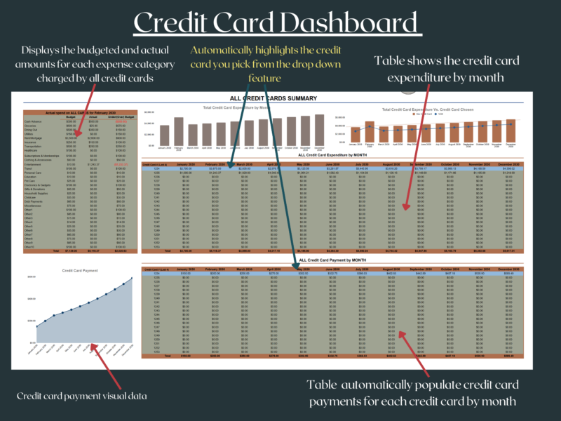 265 Credit card summary: budgeted versus actual amounts by expense category for all cards, credit card spending and payments by month for each card, and a payment chart; the chosen card is highlighted.