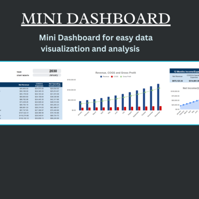 Mini dashboard: net revenue, cost of goods sold and expenses, and net operating income by month, a revenue, cost of goods sold and gross profit chart, a net income chart and a 12-month summary.