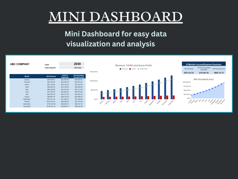 Mini dashboard: net revenue, cost of goods sold and expenses, and net operating income by month, a revenue, cost of goods sold and gross profit chart, a net income chart and a 12-month summary.