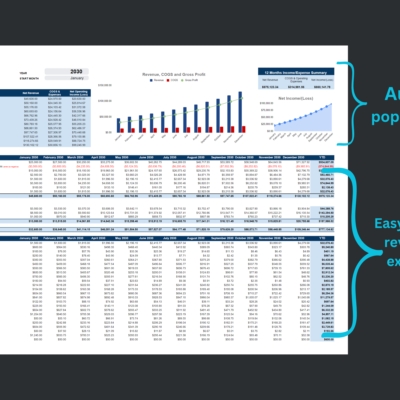 Income statement: the dashboard and 12-month summary fill in automatically from the revenue and expense entries.