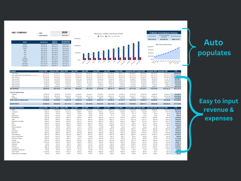 Income statement: the dashboard and 12-month summary fill in automatically from the revenue and expense entries.