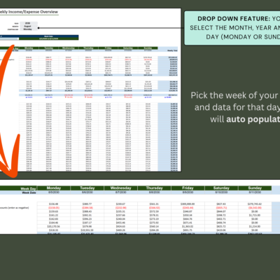 363 Daily and weekly income and expense overview: select the month, year and start day, then pick the week; that week's data fills in.
