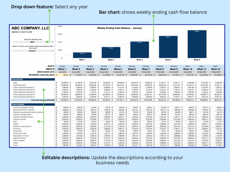 3 Weekly cash flow for a whole year: select the year and a month to see a bar chart of weekly ending cash balance; descriptions can be edited.