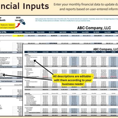 204 Financial inputs: choose the year and start month, then enter monthly cash flow, profit and loss and balance sheet data; all descriptions can be edited.