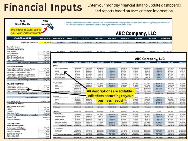 204 Financial inputs: choose the year and start month, then enter monthly cash flow, profit and loss and balance sheet data; all descriptions can be edited.